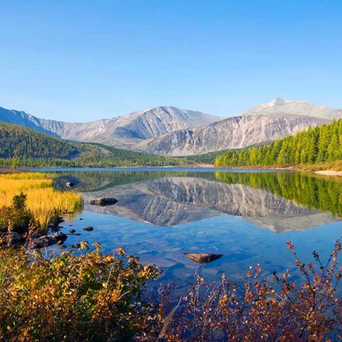 Into the Wild: Adventures in the Heart of Nature